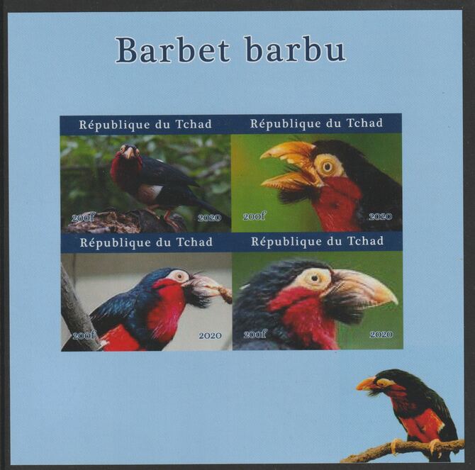 Chad 2020 Birds - Barbet barbu imperf sheetlet containing 4 values unmounted mint. Note this item is privately produced and is offered purely on its thematic appeal, stamps on , stamps on  stamps on birds, stamps on  stamps on barbet