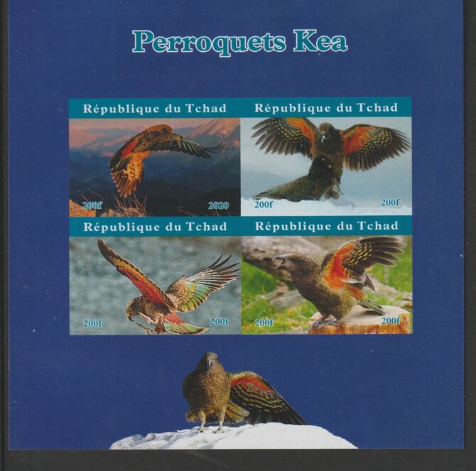 Chad 2020 Birds - Kea imperf sheetlet containing 4 values unmounted mint. Note this item is privately produced and is offered purely on its thematic appeal, stamps on birds, stamps on parrots, stamps on  kea , stamps on 