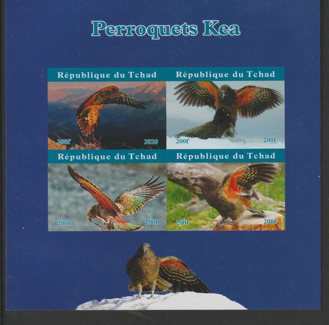 Chad 2020 Birds - Kea imperf sheetlet containing 4 values unmounted mint. Note this item is privately produced and is offered purely on its thematic appeal, stamps on , stamps on  stamps on birds, stamps on  stamps on parrots, stamps on  stamps on  kea , stamps on  stamps on 