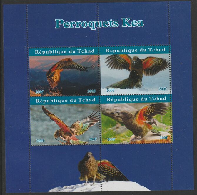 Chad 2020 Birds - Kea perf sheetlet containing 4 values unmounted mint. Note this item is privately produced and is offered purely on its thematic appeal, stamps on birds, stamps on parrots, stamps on  kea , stamps on 