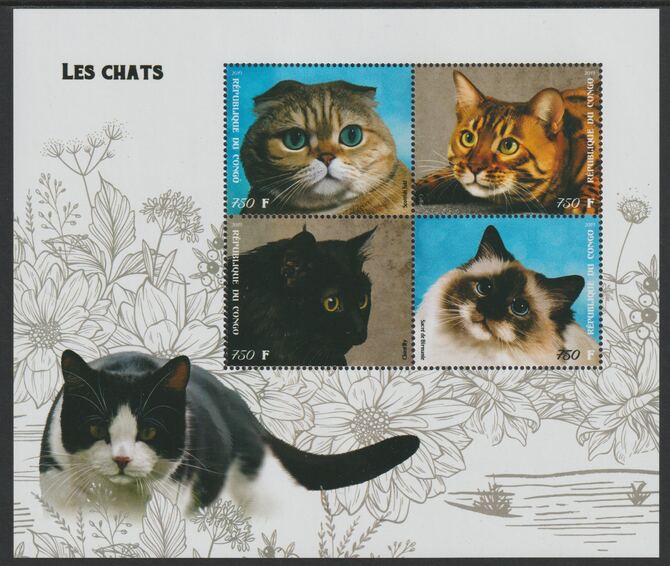 Congo 2019 Domestic Cats perf sheet containing four values unmounted mint, stamps on , stamps on  stamps on animals, stamps on  stamps on cats