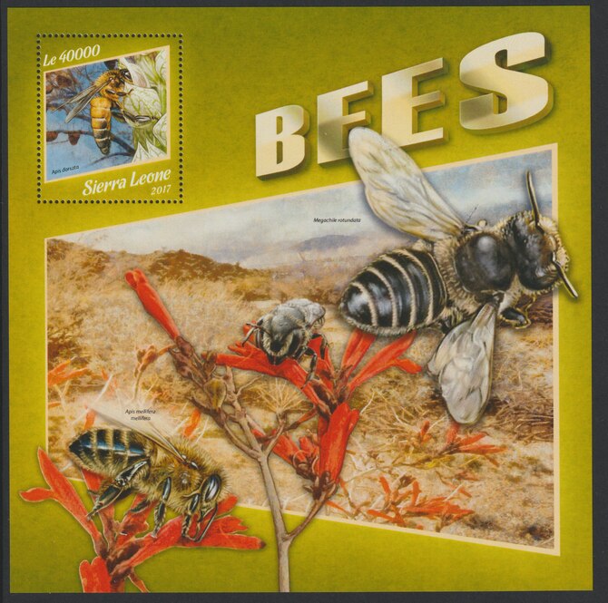 Sierra Leone 2017 Bees large perf deluxe sheet containing one value unmounted mint, stamps on bees, stamps on insects