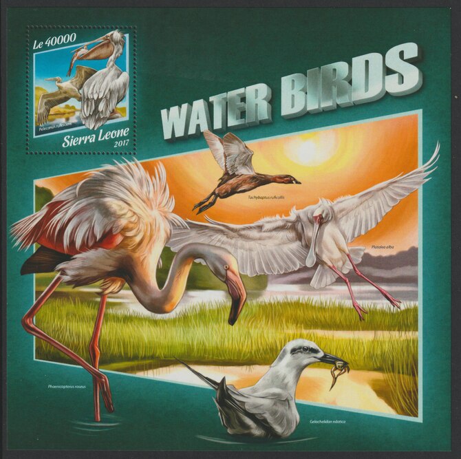 Sierra Leone 2017 Water Birds large perf deluxe sheet containing one value unmounted mint, stamps on birds
