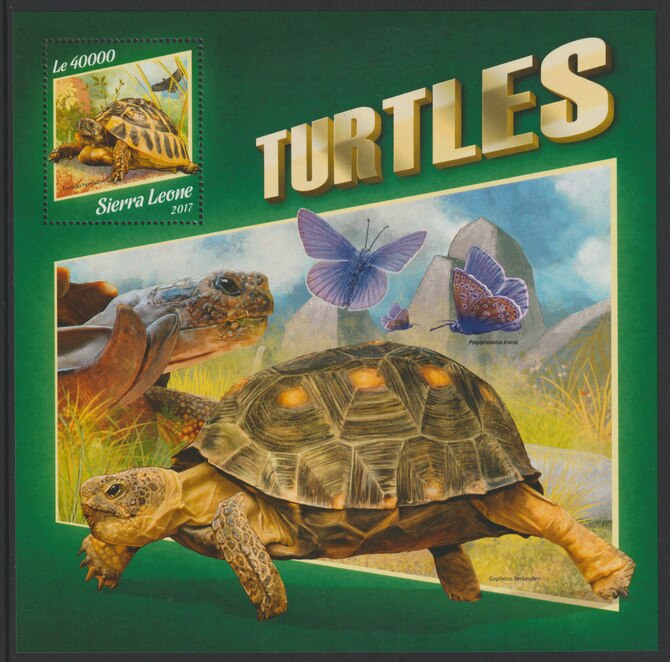 Sierra Leone 2017 Turtles #3 large perf deluxe sheet containing one value unmounted mint, stamps on turtles, stamps on marine life