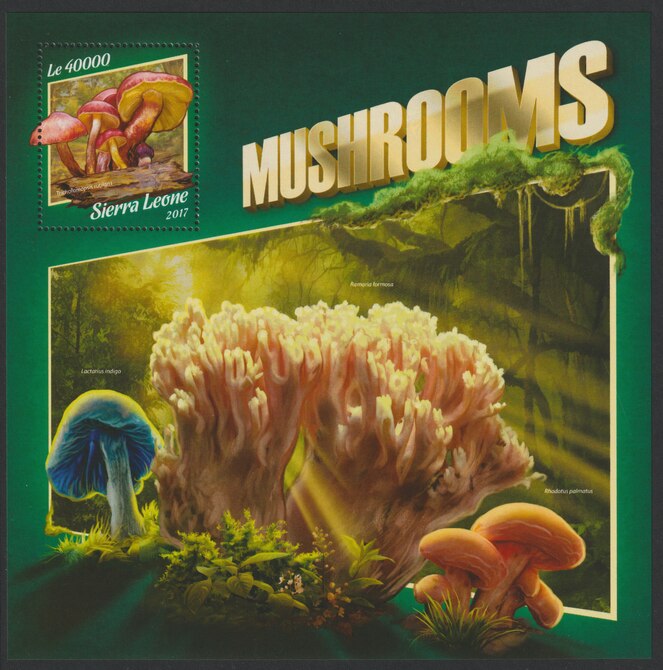 Sierra Leone 2017 Mushrooms #3 large perf deluxe sheet containing one value unmounted mint, stamps on mushrooms, stamps on fungi