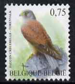 Belgium 2002-09 Birds #5 Common Kestrel 0.75 Euro unmounted mint SG 3704ba, stamps on birds, stamps on birds of prey