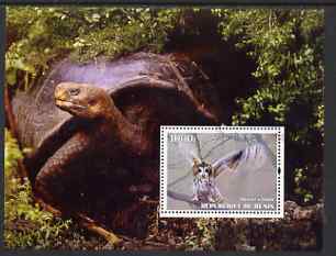 Benin 2004 Owls & Tortoises perf s/sheet #4 fine cto used, stamps on , stamps on  stamps on birds, stamps on  stamps on birds of prey, stamps on  stamps on owls, stamps on  stamps on tortoises, stamps on  stamps on animals, stamps on  stamps on reptiles