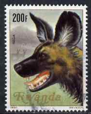 Rwanda 1981 Hunting Dog 200f fine cds used, SG1056, stamps on dogs, stamps on hunting