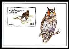 Georgia 1996 Birds perf m/sheet (Screech Owl) unmounted mint, SG MS180a, stamps on , stamps on  stamps on birds, stamps on  stamps on owls, stamps on  stamps on birds of prey