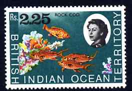 British Indian Ocean Territory 1968-70 Lyretail & Grouper 2r25 unmounted mint, SG 27, stamps on , stamps on  stamps on fish, stamps on  stamps on marine life