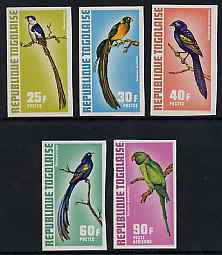 Togo 1973 Exotic Birds imperf set of 5 from limited printing unmounted mint as SG 893-7, stamps on , stamps on  stamps on birds, stamps on  stamps on parrots, stamps on  stamps on birds of paradise