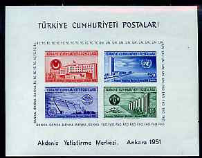 Turkey 1951 United Nations Economic Conference imperf m/sheet unmounted mint, SG 1468a, stamps on , stamps on  stamps on united nations, stamps on  stamps on education, stamps on  stamps on dams, stamps on  stamps on finance, stamps on  stamps on food