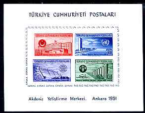Turkey 1951 United Nations Economic Conference imperf m/sheet with red shifted to right, unmounted mint, SG 1468a, stamps on , stamps on  stamps on united nations, stamps on  stamps on education, stamps on  stamps on dams, stamps on  stamps on finance, stamps on  stamps on food