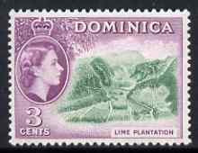 Dominica 1954-62 Lime Plantation 3c (from def set) fine unmounted mint SG143, stamps on , stamps on  stamps on fruit, stamps on  stamps on limes