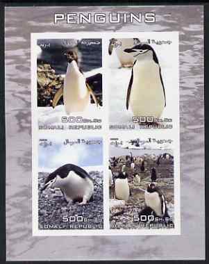 Somalia 2005 Penguins imperf sheetlet containing 4 values unmounted mint, stamps on , stamps on  stamps on birds, stamps on  stamps on penguins, stamps on  stamps on polar
