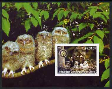 Congo 2002 Owls #1 imperf m/sheet with Rotary Logo unmounted mint, stamps on birds, stamps on birds of prey, stamps on owls, stamps on rotary