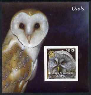 Congo 2004 Owls #2 imperf souvenir sheet with Rotary Logo, unmounted mint, stamps on , stamps on  stamps on birds, stamps on  stamps on birds of prey, stamps on  stamps on owls, stamps on  stamps on rotary