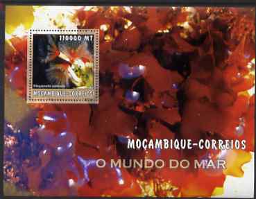 Mozambique 2002 Sea Weed perf s/sheet containing 1 value unmounted mint Yv 144, stamps on , stamps on  stamps on marine life