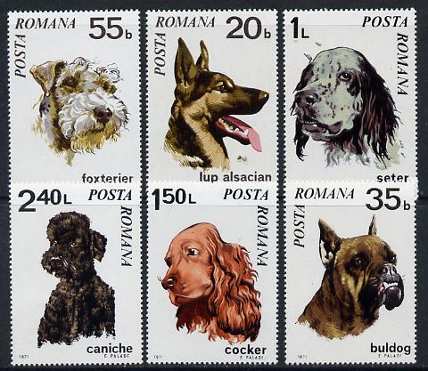 Rumania 1971 Dogs set of 6 unmounted mint, SG 3788-93, Mi 2908-13, stamps on animals, stamps on dogs, stamps on bulldog, stamps on  gsd , stamps on setter, stamps on fox-terrier, stamps on poodle, stamps on cocker spaniel