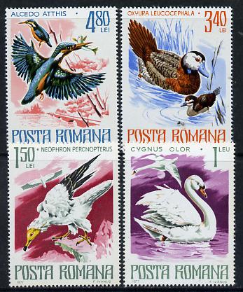 Rumania 1977 Birds - 4 values from Endangered Animals set unmounted mint, SG 4285-86 & 4288-89, Mi 3418-19 & 3421-22*, stamps on birds     kingfisher    birds of prey   duck   vulture    swan