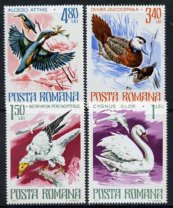 Rumania 1977 Birds - 4 values from Endangered Animals set unmounted mint, SG 4285-86 & 4288-89, Mi 3418-19 & 3421-22*, stamps on , stamps on  stamps on birds     kingfisher    birds of prey   duck   vulture    swan