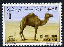 Tunisia 1968 Dromedary Camel 10m unmounted mint, SG 680, stamps on , stamps on  stamps on animals, stamps on  stamps on camels