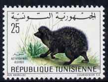 Tunisia 1968 Hedgehog 25m unmounted mint, SG 683, stamps on , stamps on  stamps on animals, stamps on  stamps on hedgehogs