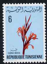 Tunisia 1968 Indian Shot 6m unmounted mint, SG 664, stamps on flowers, stamps on 