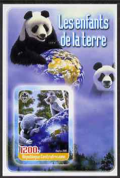 Central African Republic 2005 Young Animals of the World #1 (Bears) imperf souvenir sheet containing 1 value with Scout logo, unmounted mint, stamps on animals, stamps on bears, stamps on pandas, stamps on scouts, stamps on koalas