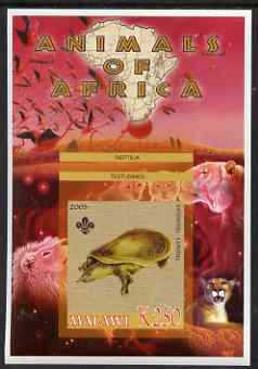 Malawi 2005 Animals of Africa - Turtle imperf m/sheet with Scout Logo & Lions in background, unmounted mint, stamps on , stamps on  stamps on scouts, stamps on  stamps on animals, stamps on  stamps on turtles, stamps on  stamps on lions, stamps on  stamps on cats