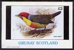 Grunay 1982 Birds #12 (Capito Steerii) imperf deluxe sheet (Â£2 value) unmounted mint, stamps on birds