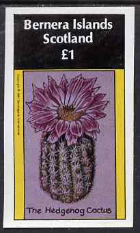 Bernera 1981 Cacti (Hedgehog Cactus) imperf souvenir sheet (£1 value) unmounted mint, stamps on flowers, stamps on cacti