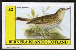 Bernera 1983 Pipit (Anthus bogotensis) imperf deluxe sheet (£2 value) unmounted mint, stamps on birds