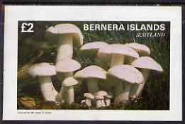 Bernera 1981 Fungi imperf deluxe sheet (£2 value) unmounted mint, stamps on fungi, stamps on 