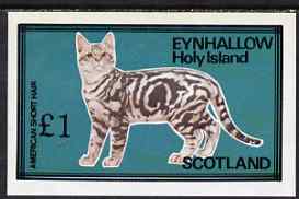 Eynhallow 1983 Domestic Cats imperf souvenir sheet (£1 value - American Short Hair) unmounted mint, stamps on cats