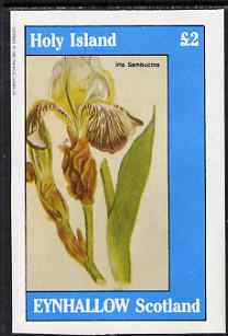 Eynhallow 1983 Flowers #33 imperf deluxe sheet (Â£2 value - Iris) unmounted mint, stamps on , stamps on  stamps on flowers, stamps on  stamps on iris