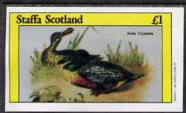 Staffa 1982 Shoveller (Anas clypeata) imperf souvenir sheet (£1 value) unmounted mint, stamps on birds