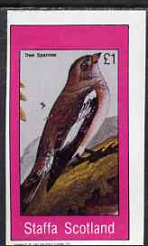 Staffa 1983 Tree Sparrow imperf souvenir sheet (£1 value) unmounted mint, stamps on birds, stamps on sparrows
