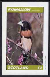 Eynhallow 1981 Manikin Bird imperf deluxe sheet (£2 value) unmounted mint, stamps on birds