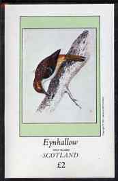 Eynhallow 1981 Tree Creeper imperf deluxe sheet (Â£2 value) unmounted mint, stamps on , stamps on  stamps on birds, stamps on  stamps on 