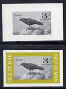 Calf of Man 1963 Chough 3m imperf proof of central vignette in black with frame omitted plus normal unmounted mint on gummed paper, as Rosen CA8, stamps on birds, stamps on choughs