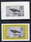 Calf of Man 1963 Chough 3m imperf proof of central vignette in black with frame omitted plus normal unmounted mint on gummed paper, as Rosen CA8, stamps on , stamps on  stamps on birds, stamps on  stamps on choughs