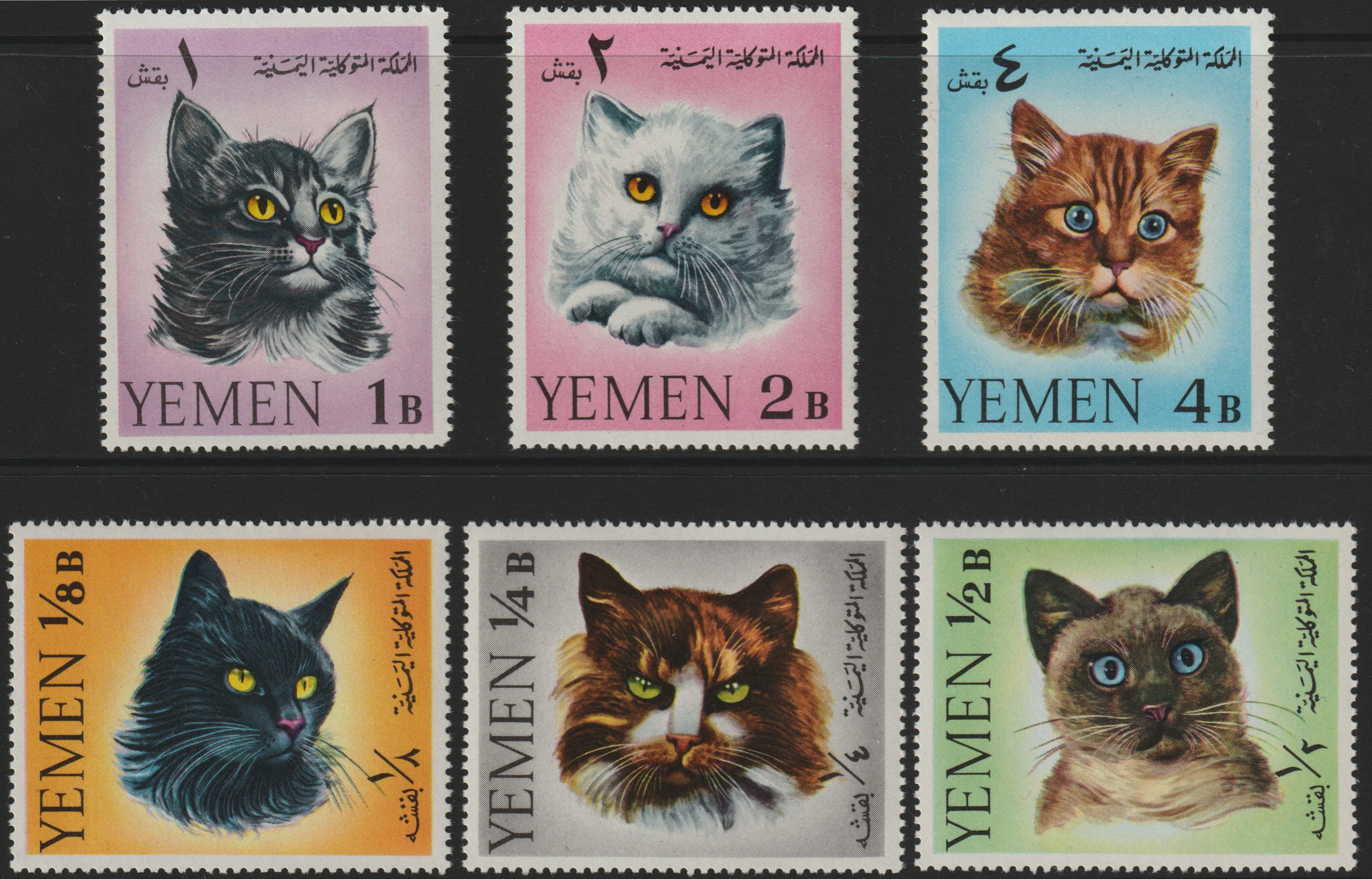 Yemen - Royalist 1965 Cats set of 6 unmounted mint, Mi 173-78, stamps on , stamps on  stamps on animals, stamps on cats