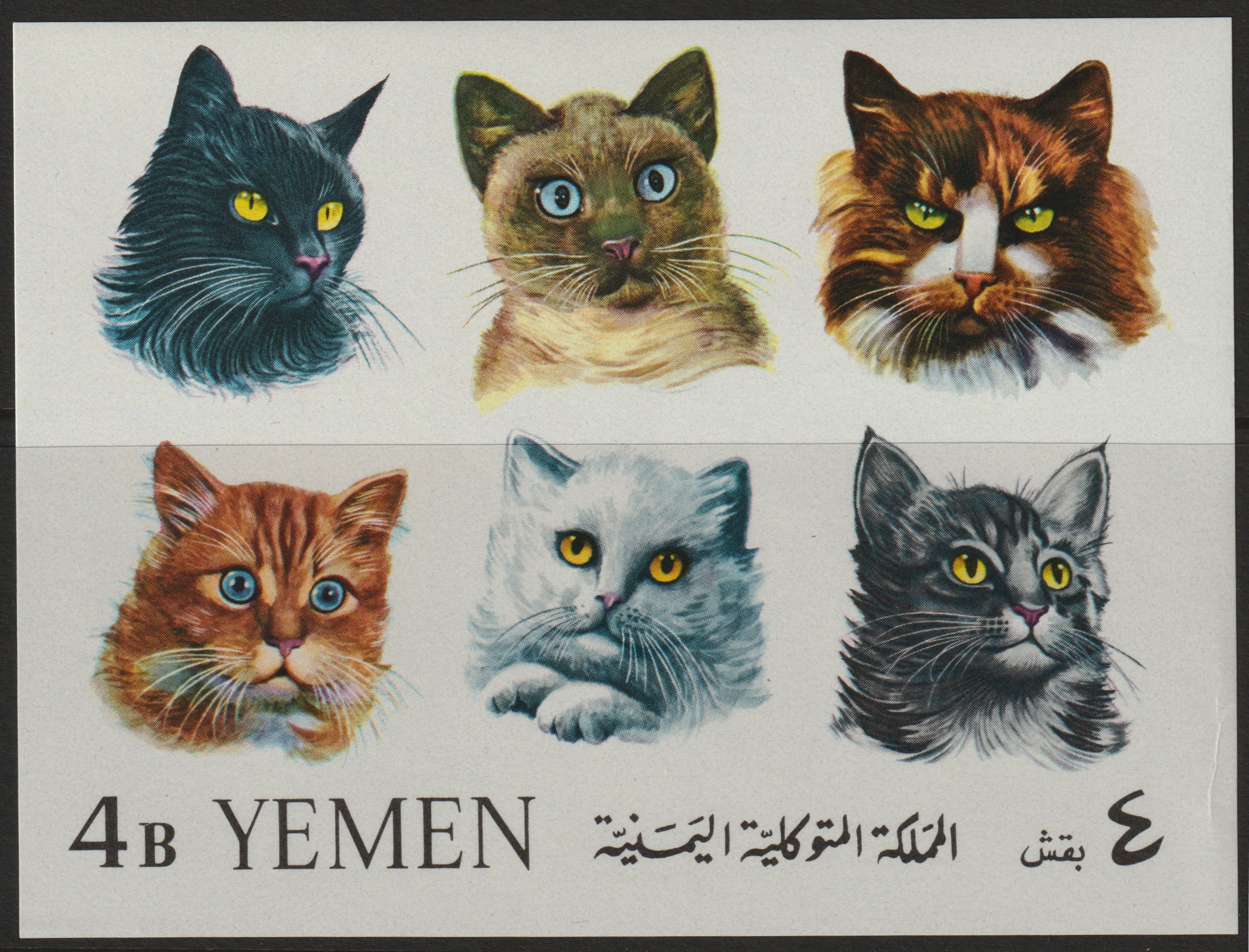 Yemen - Royalist 1965 Cats imperf m/sheet unmounted mint, Mi BL22 , stamps on , stamps on  stamps on animals  cats