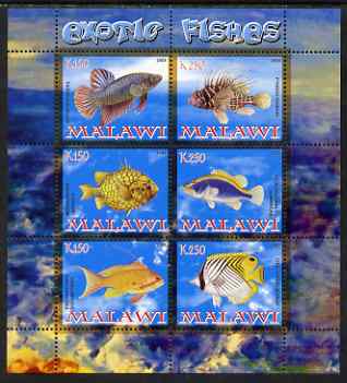 Malawi 2008 Exotic Fish perf sheetlet containing 6 values unmounted mint, stamps on , stamps on  stamps on fish