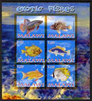 Malawi 2008 Exotic Fish imperf sheetlet containing 6 values unmounted mint, stamps on , stamps on  stamps on fish