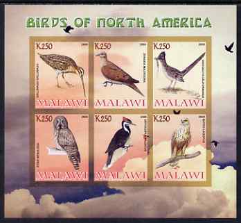 Malawi 2008 Birds of North America imperf sheetlet containing 6 values unmounted mint, stamps on , stamps on  stamps on birds, stamps on  stamps on birds of prey, stamps on  stamps on owls, stamps on  stamps on woodpeckers