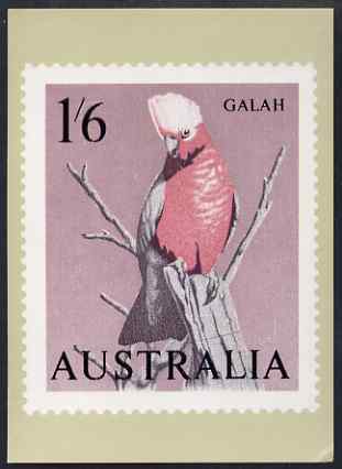 Australia 1964-65 Galah 1s6d Philatelic Postcard (Series 2 No.22) unused and very fine, stamps on , stamps on  stamps on birds