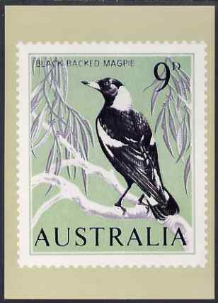 Australia 1964-65 Black-backed Magpie 9d Philatelic Postcard (Series 2 No.8) unused and very fine, stamps on birds