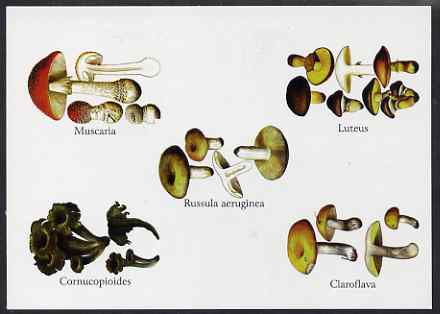 Turkmenistan 1999 Fungi postal stationery card No.4 from a series of 4, unused and pristine, stamps on , stamps on  stamps on fungi